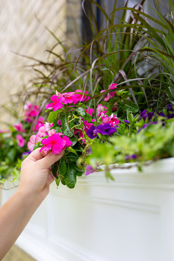 Fairfield Window Box